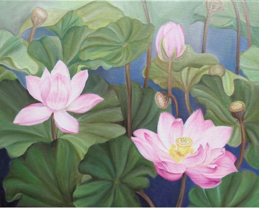 Lotus Pond by Maduranga Thissera